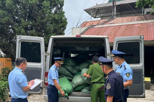 Tạm giữ gần 1,4 tấn nguyên liệu thuốc lá không rõ nguồn gốc xuất xứ