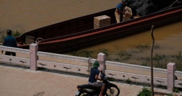 Để buôn lậu hoành hành, 6 cán bộ biên phòng Móng Cái bị kỷ luật Để buôn lậu hoành hành, 6 cán bộ biên phòng Móng Cái bị kỷ luật