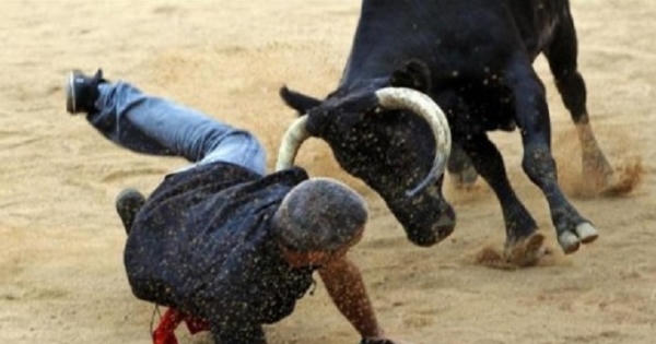 Xôn xao clip trâu điên húc người trọng thương ở Hải Dương Xôn xao clip trâu điên húc người trọng thương ở Hải Dương