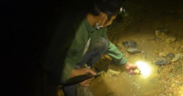 "Độc chiêu" của thợ săn cua đá