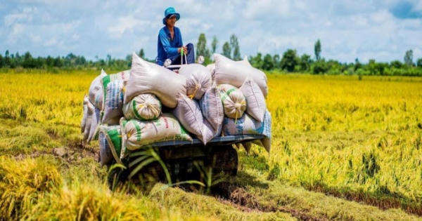 Kỳ tích tăng trưởng GDP