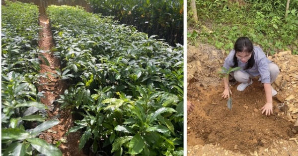 Thương mại điện tử và cách mạng trong kinh doanh sản phẩm dinh dưỡng