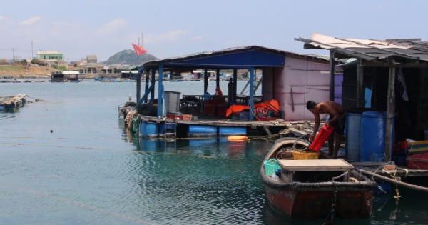 Đảo Phú Quý tháng 4 đắm say lòng người