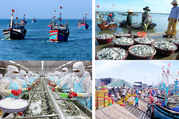 Đến năm 2050, Việt Nam trở thành quốc gia có nghề cá phát triển bền vững, hiện đại