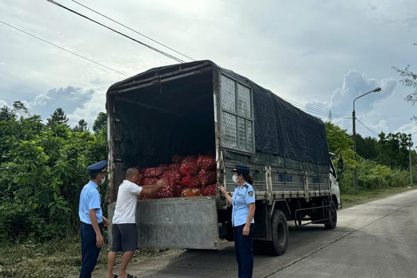 Phát hiện bắt giữ 2 vụ vận chuyển gần 17 tấn ngao, hàu không rõ nguồn gốc, xuất xứ