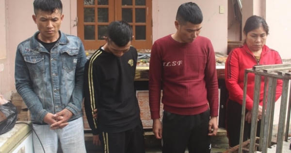 Băng “cẩu tặc” trộm chó với thủ đoàn tàn độc sa lưới