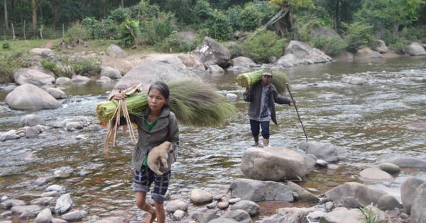 'Lộc trời' dưới chân dãy Giăng Màn