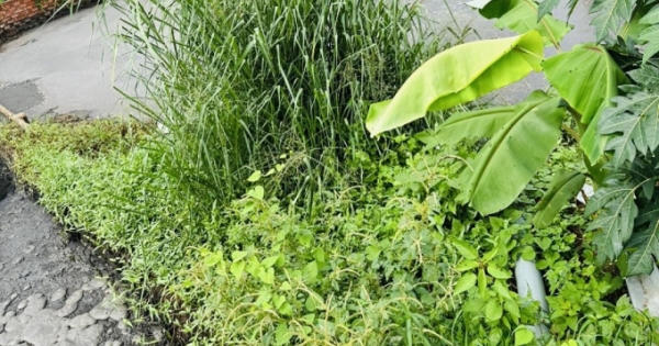 Dừng hợp đồng với các cơ sở chăn nuôi không đảm bảo môi trường