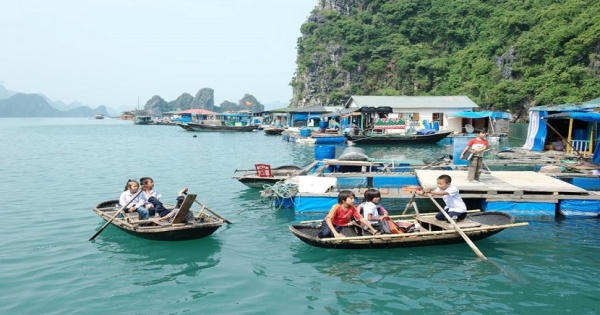 Sắp xếp di dời và xử lý các phương tiện thuỷ neo đậu không đúng nơi quy định ven bờ vịnh Hạ Long