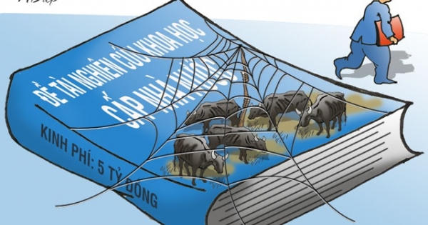 Bò ơi, giá như bò biết đọc, biết viết để làm đơn xin được về rừng!