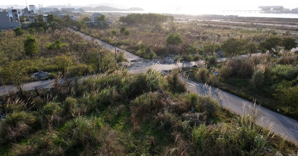 Cỏ mọc um tùm trong các dự án khu đô thị từng "sốt hầm hập" ở Quảng Ninh