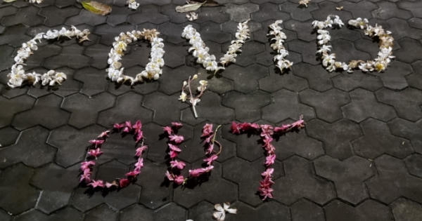 Công nhân trải lòng bên bông hoa Sứ