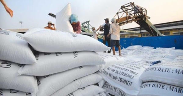 Đề nghị Bộ Công an điều tra, xác minh tiêu cực trong hoạt động xuất khẩu gạo