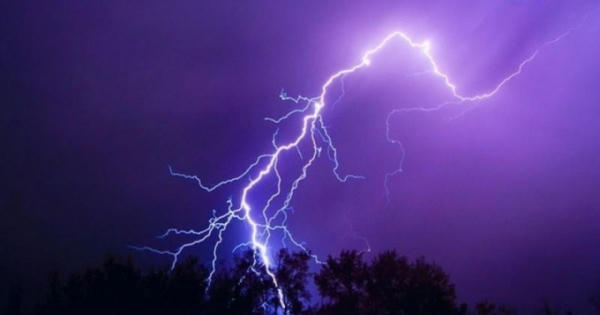 Lâm Đồng: Nam thanh niên gặt lúa ngoài đồng bị sét đánh tử vong