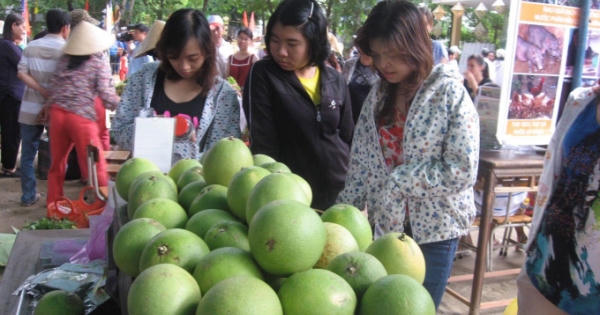 Đặc sắc Lễ hội Thanh trà Huế 2018