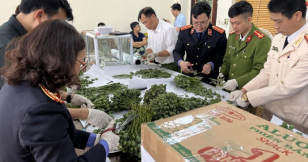 Bị bắt vì mua bán cành cây và quả thuốc phiện