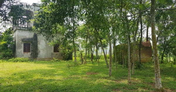 Vụ xâm hại 2 chị em gái: Đang giám định thai nhi