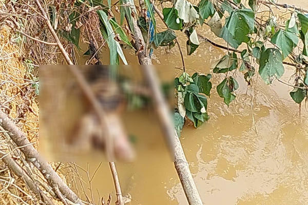 Hà Giang: Tìm thấy thi thể người phụ nữ bị lũ cuốn trôi ra sông Lô