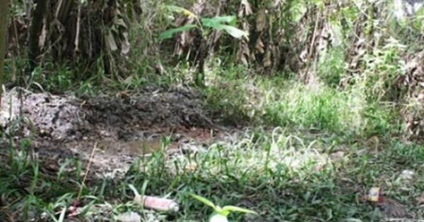 Kinh hoàng: Nam thanh niên dìm chết bé gái lớp 6, chôn xác trong vườn hoang
