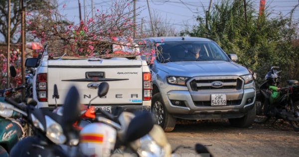 Đào bung nở, làng Nhật Tân nghẽn lối vào ngày cận Tết