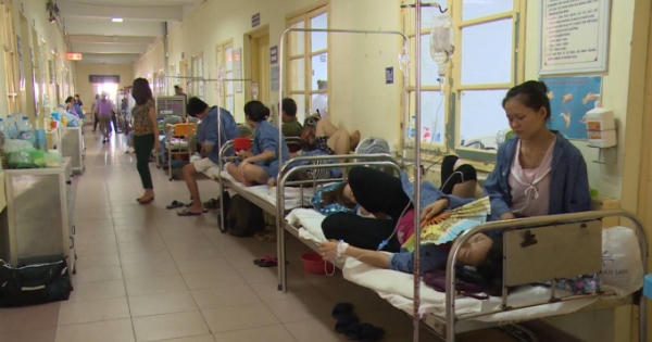 Tin nóng 247 ngày 9/8/2017: Hà Nội, bệnh nhân mắc sốt xuất huyết đang tăng từng ngày