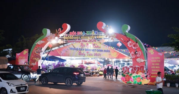 Quảng Ninh: Chợ hoa xuân Hạ Long đìu hiu vắng khách