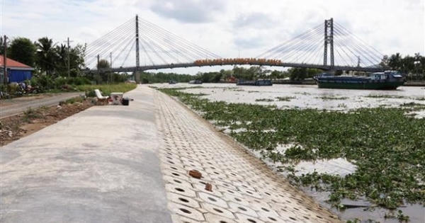 Tiền Giang đầu tư trên 745 tỷ đồng khắc phục sạt lở bờ sông