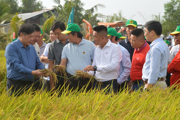 Diễn đàn Khuyến nông và Nông nghiệp: Giải pháp thúc đẩy canh tác lúa phát thải thấp gắn với tăng trưởng xanh tại vùng ĐBSCL