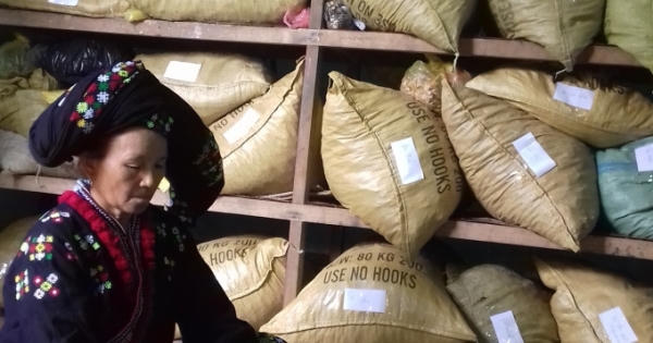 Mẹ Lầu: “Vua chữa vô sinh hiếm muộn” tại Mường Lát - Thanh Hóa