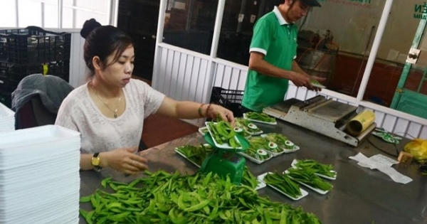 Gắn logo cho nông sản tránh nhầm lẫn hàng Trung Quốc Gắn logo cho nông sản tránh nhầm lẫn hàng Trung Quốc