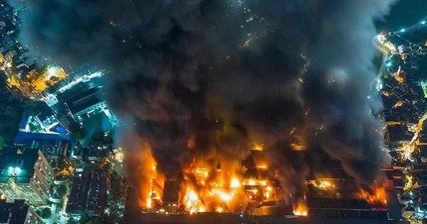 Thành phần bóng huỳnh quang Rạng Đông không có thủy ngân