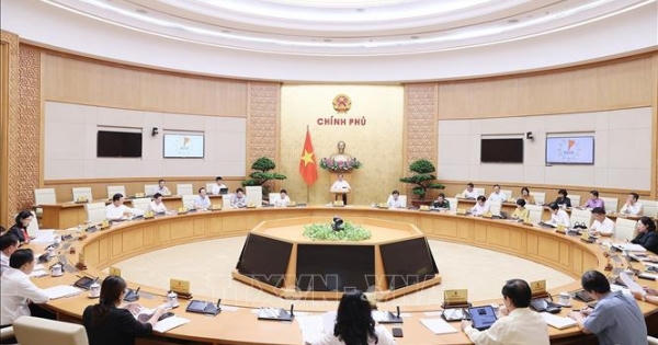 Hoàn thiện luật nhằm chống "quân xanh, quân đỏ" trong đấu giá tài sản