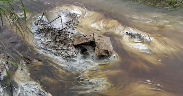 Bắc Giang: Công ty Vina Prauden xả thải vào nguồn nước vượt quy chuẩn