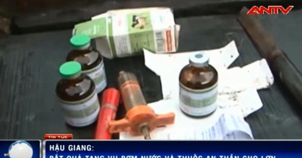 Dùng thuyền đưa lợn ra sông vắng để bơm nước Dùng thuyền đưa lợn ra sông vắng để bơm nước