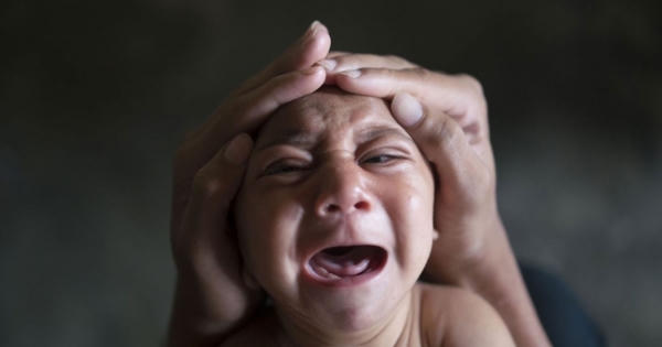 Virus Zika sẽ không còn đáng sợ nữa với phát hiện mới này