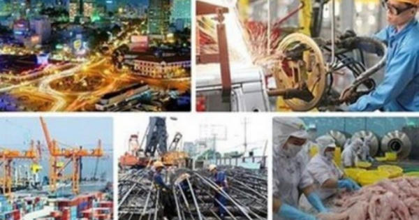 “Sức khỏe” pháp luật