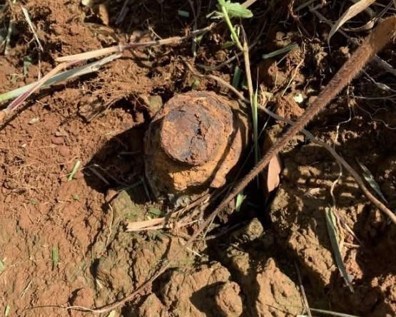 Phát hiện vật nghi đầu đạn sót lại giữa rẫy cao su