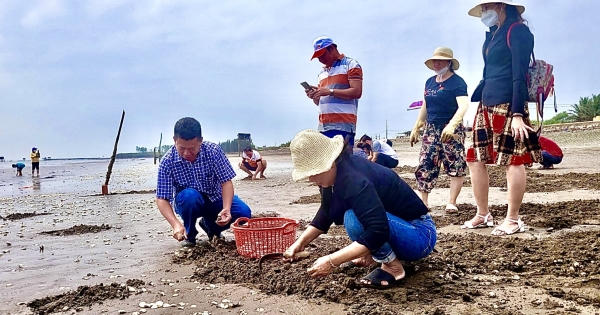 Điểm khác biệt khi du lịch tại biển Tân Thành