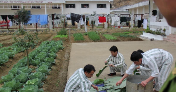Xuân sớm ở Trại giam Nà Tấu