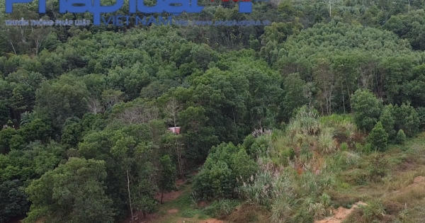 Cần khắc phục những tồn tại của dự án trăm tỷ tại Tuyên Quang