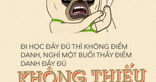 Loạt tình huống bi hài nếu chưa trải qua thì chưa phải là sinh viên! Loạt tình huống bi hài nếu chưa trải qua thì chưa phải là sinh viên!