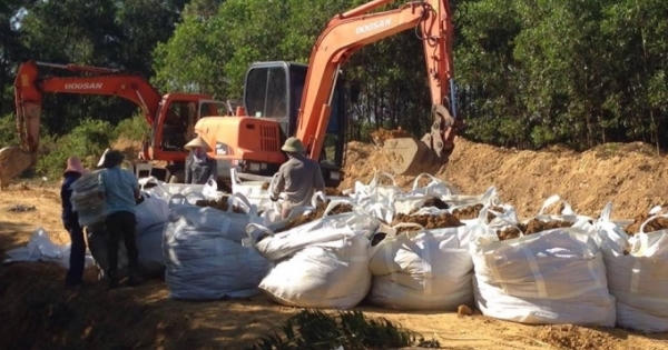 Cái não của ông Phó Chủ tịch bênh Formosa