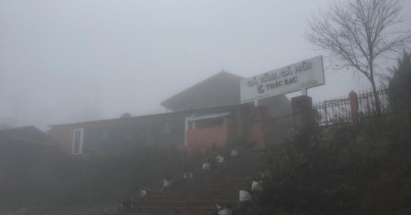 Nếu cạnh tranh lành mạnh, cá tầm trong nước hoàn toàn đáp ứng được nhu cầu của thị trường