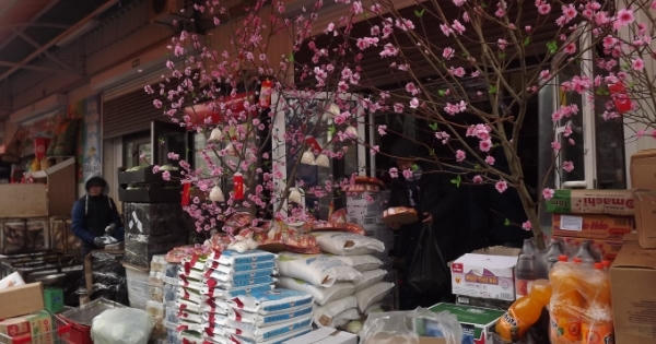 Đầm ấm tết Việt trên xứ Bạch dương