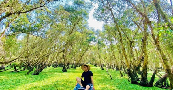 Rừng tràm Trà Sư, nơi có chiếc cầu tre dài nhất Việt Nam