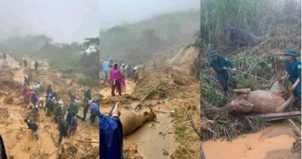 Sạt lở ở huyện biên giới Kỳ Sơn, một bản bị cô lập hoàn toàn