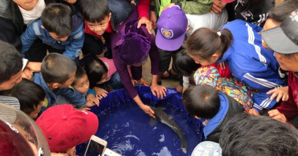 Quăng một nhát chài bắt cá chép nặng 3,2 kg bị đồn thổi là “cá thần”
