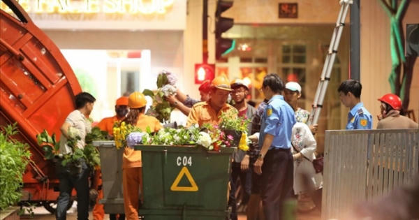 Tiếc hoa xuân trên đường Nguyễn Huệ, nhiều người xin nhặt về nhà Tiếc hoa xuân trên đường Nguyễn Huệ, nhiều người xin nhặt về nhà