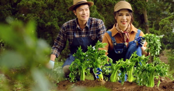 Doanh nhân Quang Trường - Diễm Hằng: “Chuyển đổi số trong sản xuất nông nghiệp để đưa nông sản Việt ra biển lớn” Doanh nhân Quang Trường - Diễm Hằng: “Chuyển đổi số trong sản xuất nông nghiệp để đưa nông sản Việt ra biển lớn”