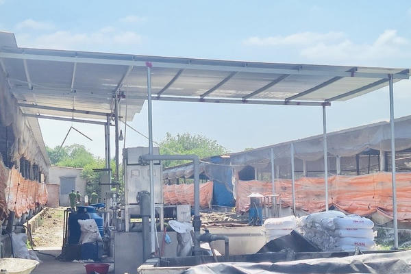 3 người tử vong nghi do ngạt khí từ hầm chứa nước thải chăn nuôi